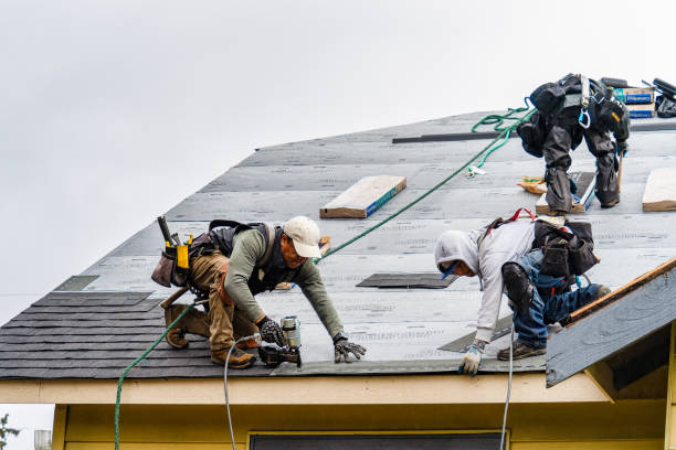 Professional Roofing technician working in Monroe, MI